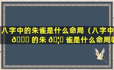 八字中的朱雀是什么命局（八字中 💐 的朱 🦁 雀是什么命局呢）